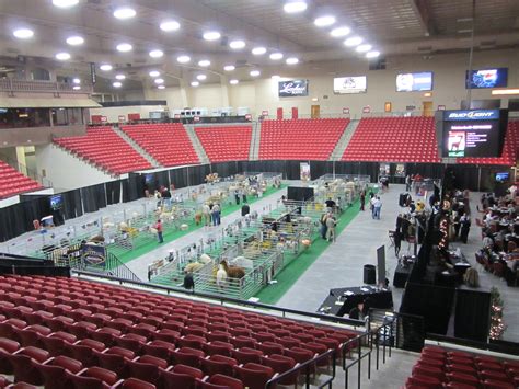 South Point Arena .